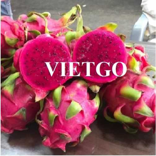 Thương vụ hợp tác xuất khẩu thanh long sang thị trường Hồng Kông