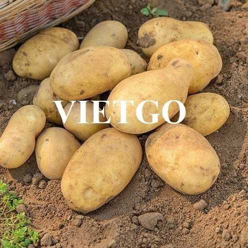 Cơ hội xuất khẩu khoai tây đến thị trường UAE