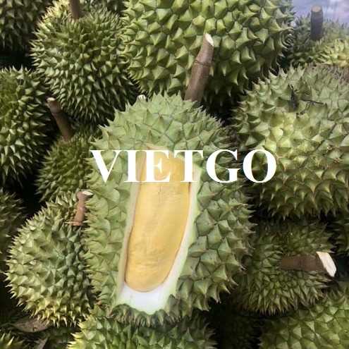 Cơ hội hợp tác xuất khẩu sầu riêng sang thị trường Trung Quốc