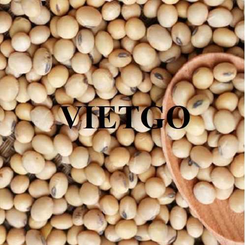 Cơ hội hợp tác xuất khẩu đậu nành đến thị trường Trung Quốc