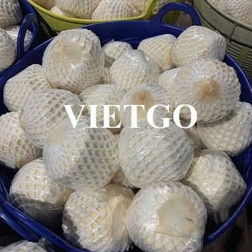 Thương vụ hợp tác xuất khẩu dừa từ vị khách hàng đến từ UAE