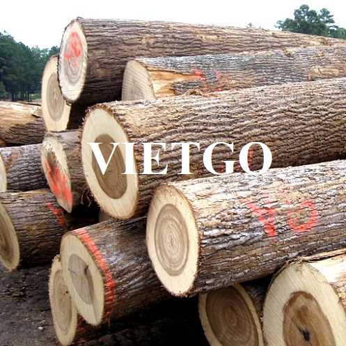 Thương vụ xuất khẩu gỗ dương tròn sang thị trường Ý