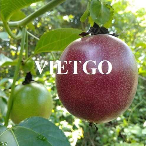 Cơ hội hợp tác xuất khẩu chanh leo sang thị trường Maldives