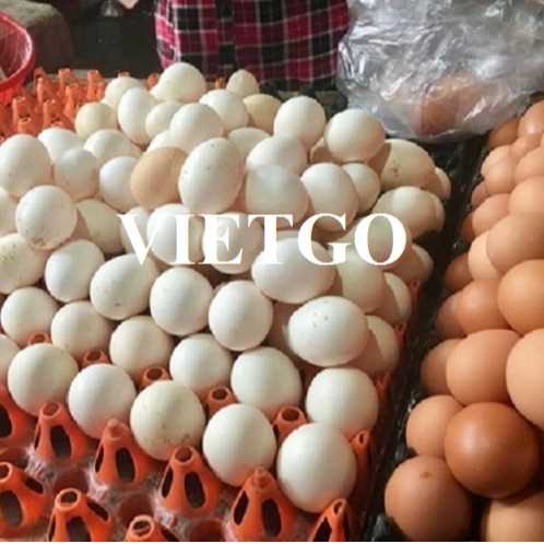 Cơ hội xuất khẩu trứng gà đến thị trường Thụy Điển