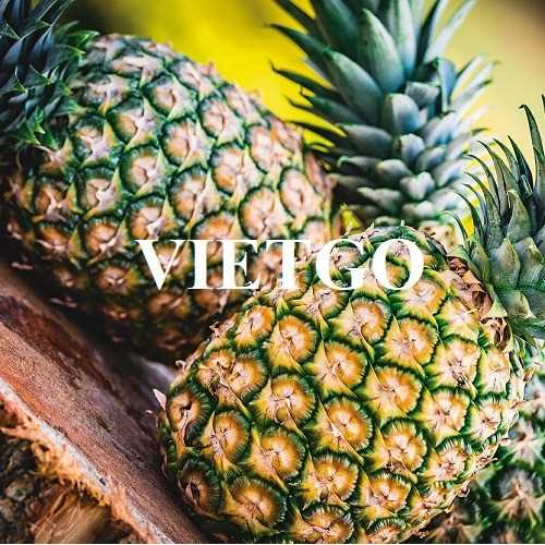 Thương vụ hợp tác xuất khẩu dứa tươi sang thị trường Dubai