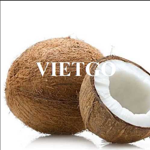 Cơ hội xuất khẩu dừa khô sang thị trường UAE