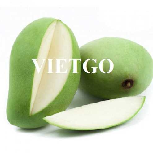 Thương vụ hợp tác xuất khẩu xoài sang thị trường Anh Quốc