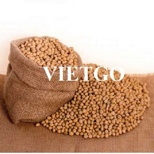 Thương vụ hợp tác xuất khẩu đậu nành sang thị trường Iraq
