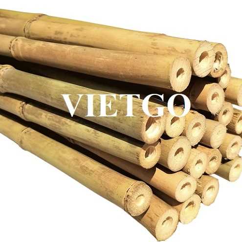 Cơ hội xuất khẩu gậy tre sang thị trường Iran
