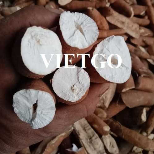 Cơ hội xuất khẩu sắn tươi hàng tháng sang thị trường Trung Quốc  