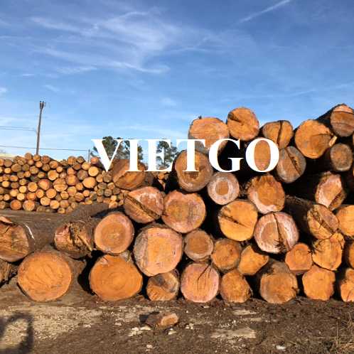 Thương vụ xuất khẩu gỗ thông tròn sang thị trường Kuwait