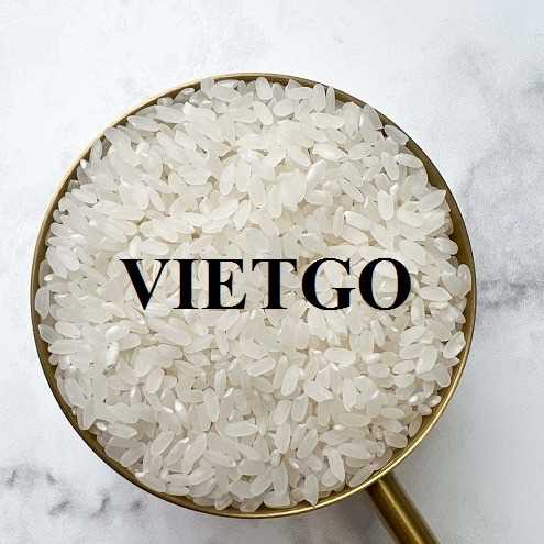 Cơ hội hợp tác xuất khẩu gạo đến thị trường Nga 