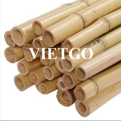 Thương vụ xuất khẩu gậy tre sang thị trường Ả Rập Xê Út