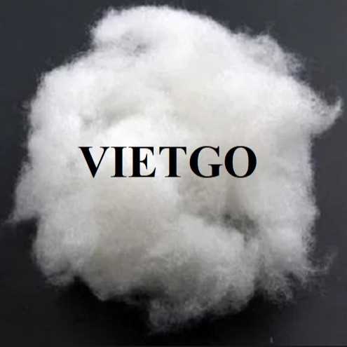 Thương vụ xuất khẩu sợi bông thô sang Thổ Nhĩ Kỳ với số lượng lớn