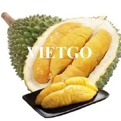 Thương vụ xuất khẩu sầu riêng tươi sang thị trường Úc