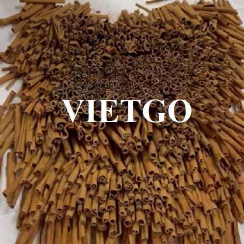 Cơ hội hợp tác xuất khẩu sản phẩm quế sang thị trường Ấn Độ