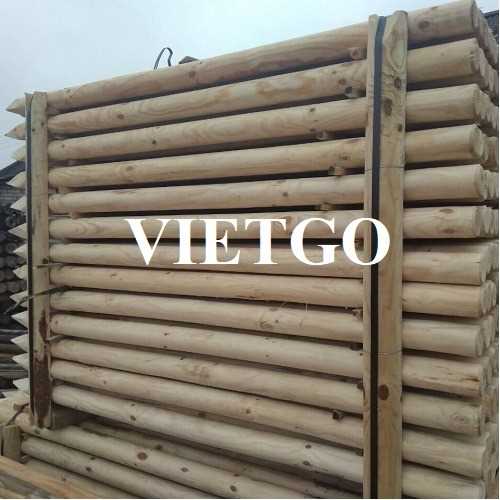 Cơ hội xuất khẩu cọc gỗ keo sang thị trường Romania