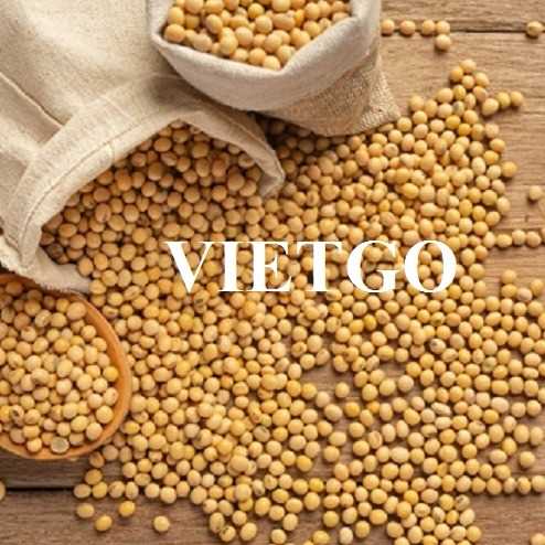 Cơ hội xuất khẩu đậu nành sang thị trường Ai Cập 