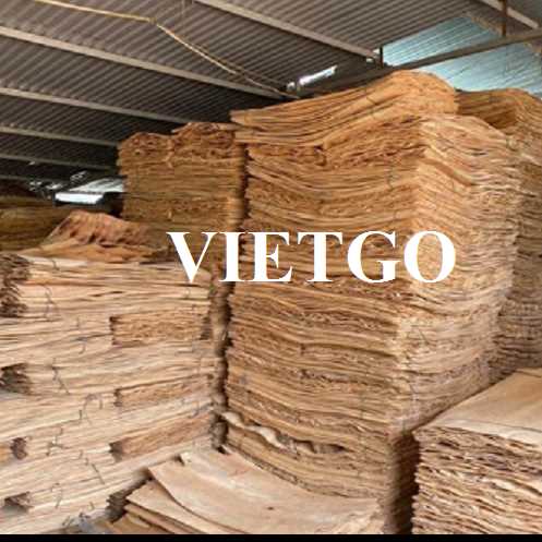 Thương vụ xuất khẩu ván bóc bạch đàn sang thị trường Ấn Độ