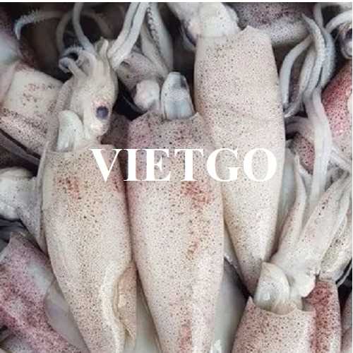 Cơ hội xuất khẩu mực và bạch tuộc sang thị trường Peru