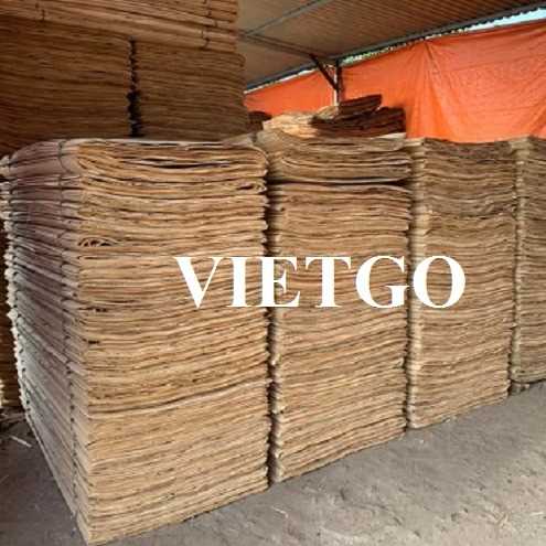 Cơ hội xuất khẩu ván bóc sang thị trường Ai Cập