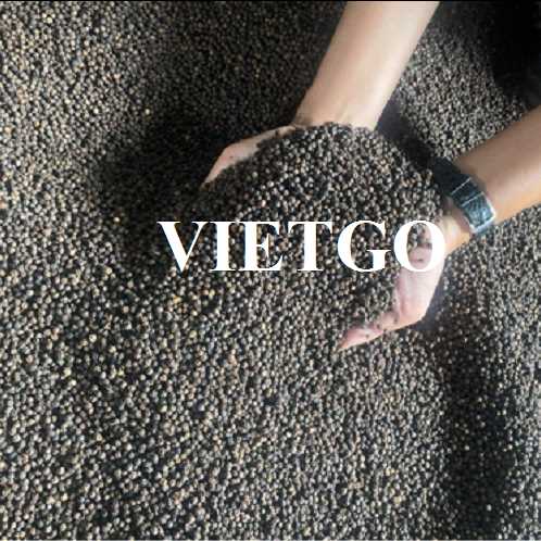 Cơ hội hợp tác xuất khẩu sản phẩm hạt tiêu sang thị trường Ấn Độ