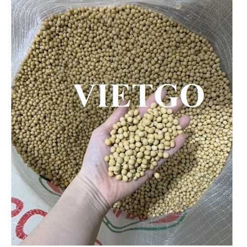 Cơ hội hợp tác xuất khẩu sản phẩm đậu nành đến thị trường Iraq
