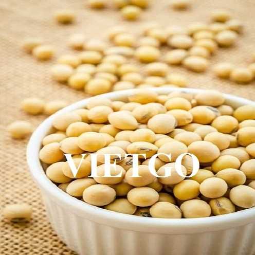 Cơ hội hợp tác xuất khẩu đậu nành sang thị trường Thổ Nhĩ Kỳ
