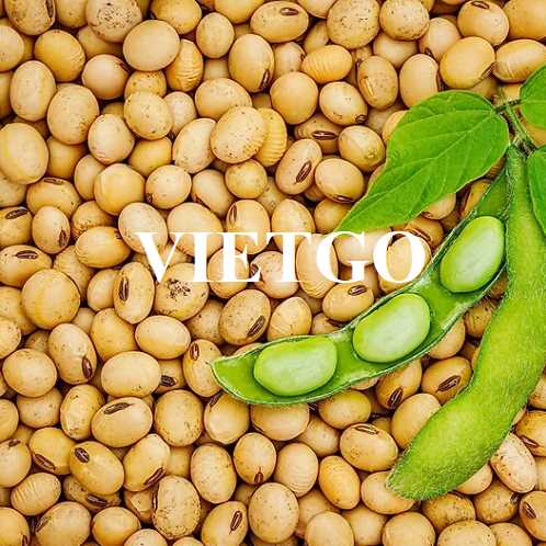 Cơ hội xuất khẩu đậu nành sang thị trường Ai Cập
