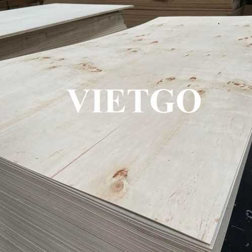 Thương vụ xuất khẩu gỗ dán sang thị trường Ấn Độ