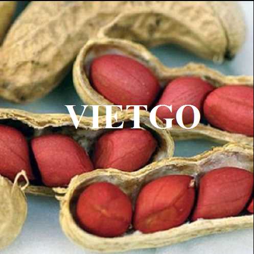 Thương vụ xuất khẩu số lượng lớn lạc nhân sang thị trường Trung Quốc