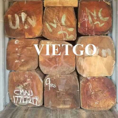 Thương vụ xuất khẩu gỗ gõ xẻ hộp sang thị trường Việt Nam