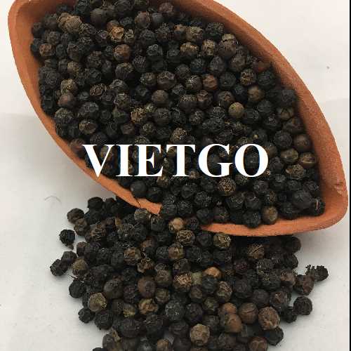 Thương vụ hợp tác xuất khẩu hạt tiêu cùng vị khách hàng đến từ Indonesia
