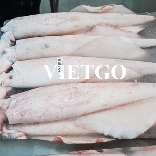 Cơ hội xuất khẩu mực và bạch tuộc sang thị trường Lebanon