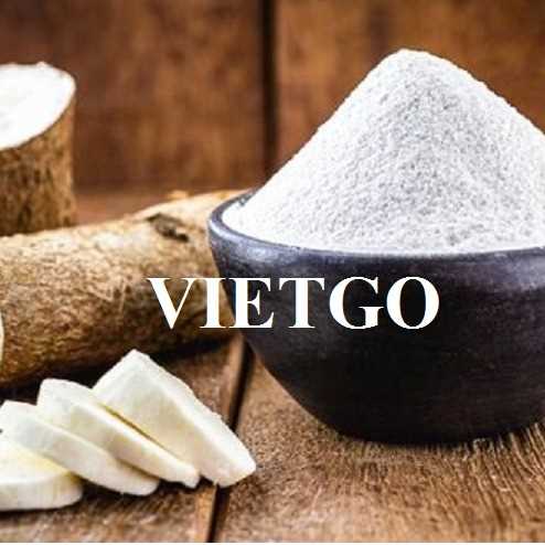 Cơ hội xuất khẩu tinh bột sắn số lượng lớn đến thị trường Đài Loan