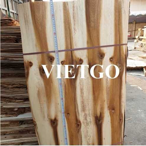 Thương vụ xuất khẩu ván bóc gỗ keo sang thị trường Ấn Độ