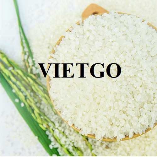 Cơ hội xuất khẩu gạo sang thị trường Mỹ
