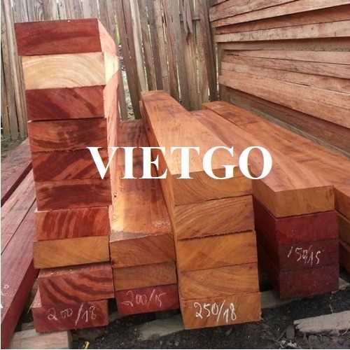 Thương vụ xuất khẩu gỗ lim xẻ sang thị trường Anh Quốc