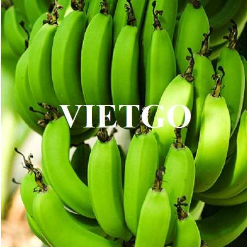 Cơ hội hợp tác xuất khẩu chuối sang thị trường UAE