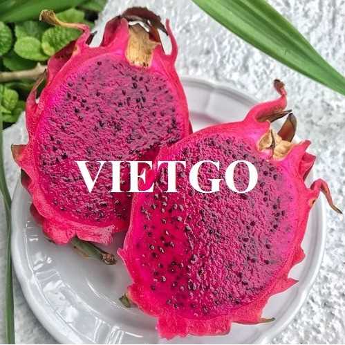Cơ hội hợp tác xuất khẩu thanh long qua đường hàng không đến thị trường UAE