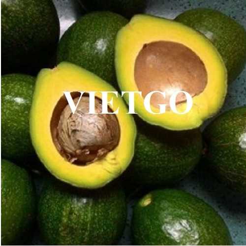 Cơ hội hợp tác xuất khẩu bơ qua đường hàng không đến thị trường UAE