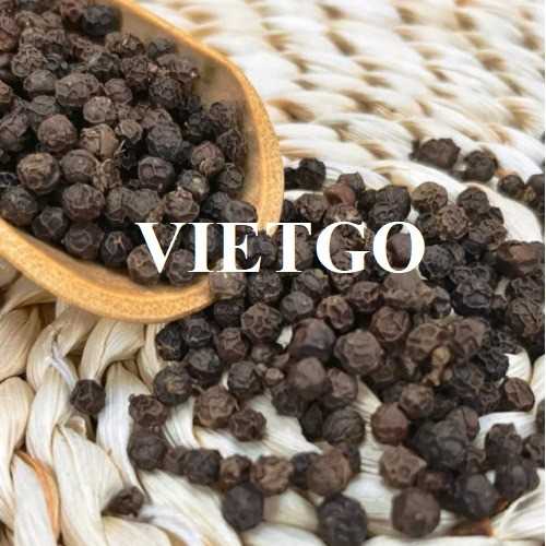 Cơ hội hợp tác xuất khẩu hạt tiêu cùng vị khách hàng đến từ Ấn Độ 