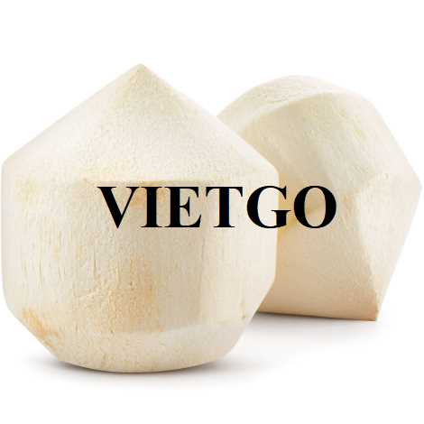Cơ hội hợp tác xuất khẩu dừa tươi đến thị trường UAE