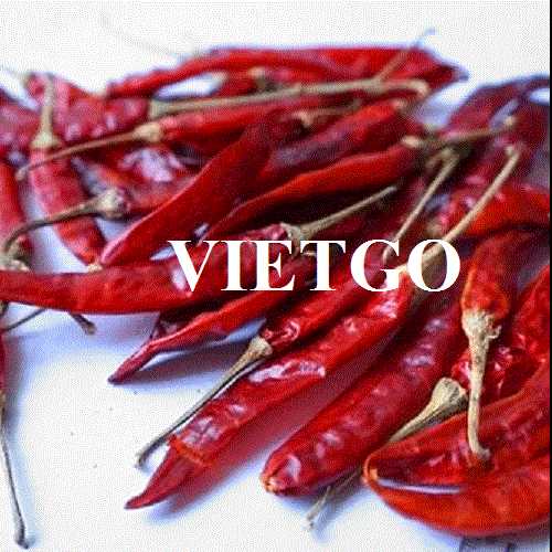 Cơ hội hợp tác xuất khẩu ớt khô sang thị trường Ấn Độ