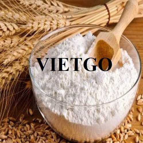 Cơ hội hợp tác xuất khẩu bột mì cùng vị khách hàng đến từ Brazil