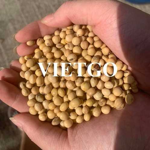 Thương vụ xuất khẩu hạt đậu nành sang thị trường Việt Nam