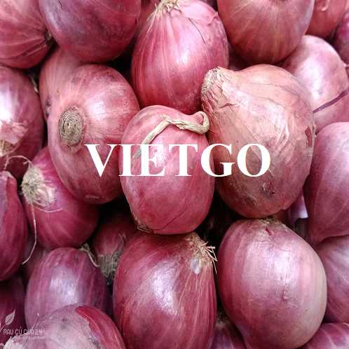 Thương vụ xuất khẩu hành tím sang thị trường Ấn Độ