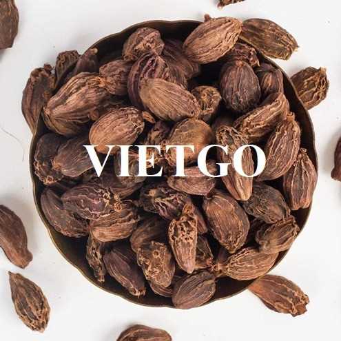 Cơ hội hợp tác xuất khẩu thảo quả sang thị trường Ấn Độ
