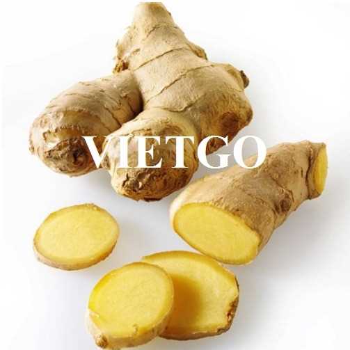 Cơ hội xuất khẩu gừng đến từ vị khách hàng tại Mỹ