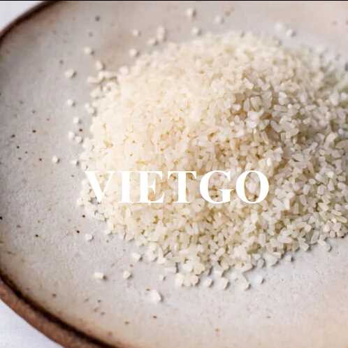 Cơ hội hợp tác xuất khẩu gạo từ vị khách hàng đến từ Brazil